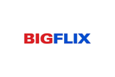 BigFlix